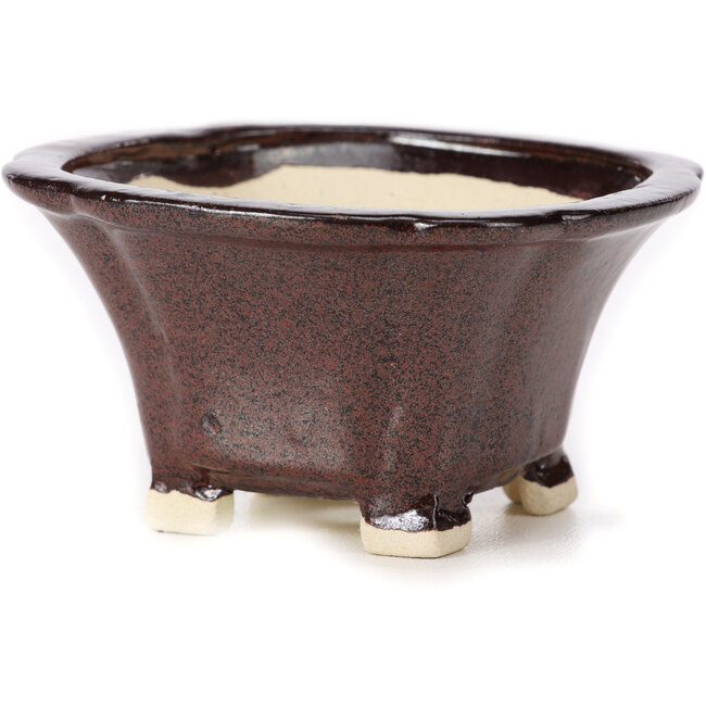 Vaso bonsai quadrato marrone di Seto - 90 x 90 x 50 mm