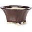 Pot à bonsaï carré marron par Seto - 90 x 90 x 50 mm