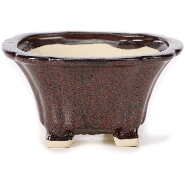 Maceta de bonsái cuadrada marrón de Seto - 90 x 90 x 50 mm