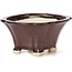 Pot à bonsaï carré marron par Seto - 90 x 90 x 50 mm