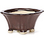 Square brown bonsai pot by Seto - 90 x 90 x 50 mm