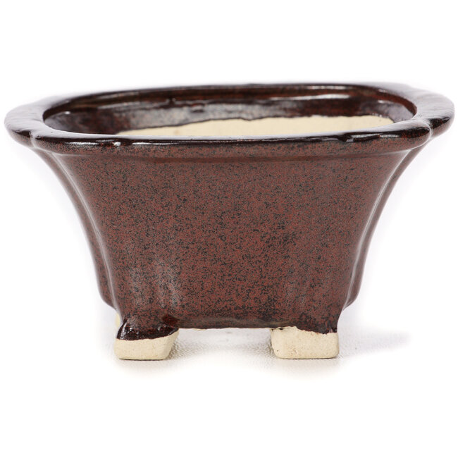 Pot à bonsaï carré marron par Seto - 90 x 90 x 50 mm