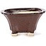 Pot à bonsaï carré marron par Seto - 90 x 90 x 50 mm