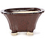 Square brown bonsai pot by Seto - 90 x 90 x 50 mm