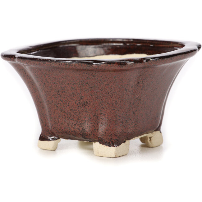 Maceta de bonsái cuadrada marrón de Seto - 90 x 90 x 50 mm