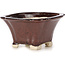 Pot à bonsaï carré marron par Seto - 90 x 90 x 50 mm