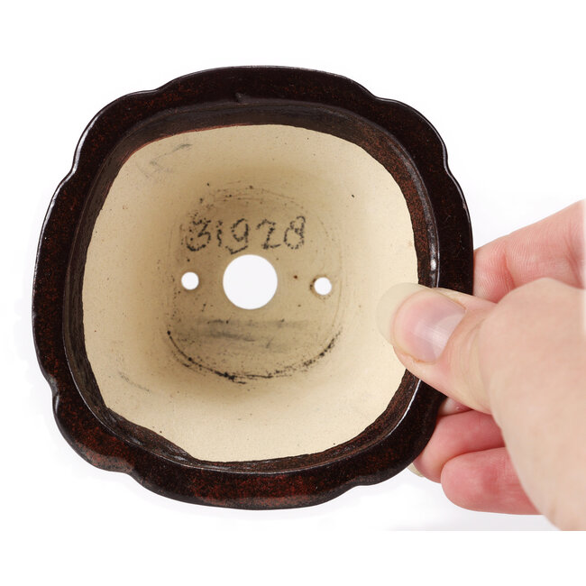 Pot à bonsaï carré marron par Seto - 90 x 90 x 50 mm