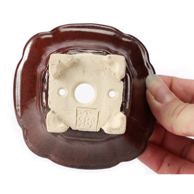 Maceta de bonsái cuadrada marrón de Seto - 90 x 90 x 50 mm