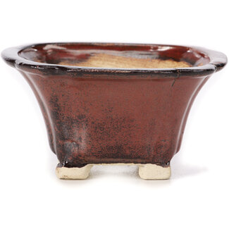 Seto 90 mm square brown bonsai pot by Seto, Japan