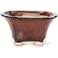 Square brown bonsai pot by Seto - 90 x 90 x 50 mm