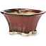 Square brown bonsai pot by Seto - 90 x 90 x 50 mm