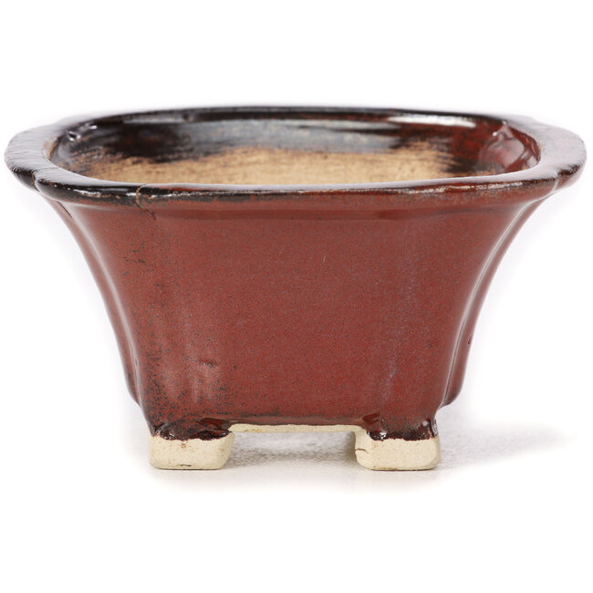 Maceta de bonsái cuadrada marrón de Seto - 90 x 90 x 50 mm