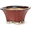 Square brown bonsai pot by Seto - 90 x 90 x 50 mm