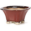 Vaso bonsai quadrato marrone di Seto - 90 x 90 x 50 mm