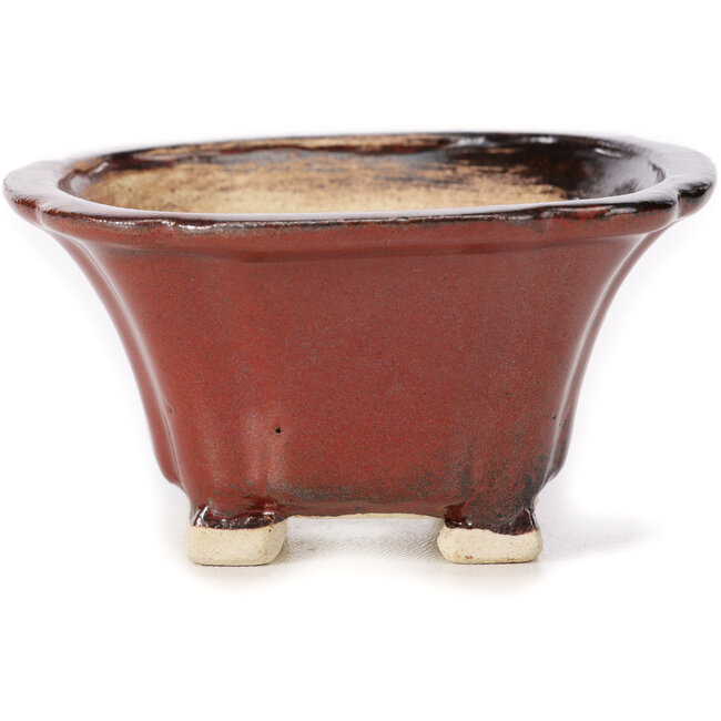 Vaso bonsai quadrato marrone di Seto - 90 x 90 x 50 mm