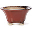 Vaso bonsai quadrato marrone di Seto - 90 x 90 x 50 mm