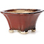 Square brown bonsai pot by Seto - 90 x 90 x 50 mm