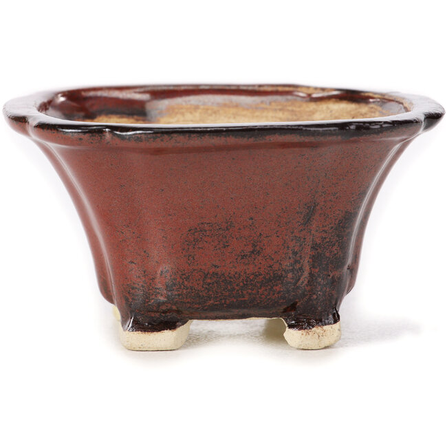 Vaso bonsai quadrato marrone di Seto - 90 x 90 x 50 mm