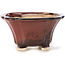 Square brown bonsai pot by Seto - 90 x 90 x 50 mm