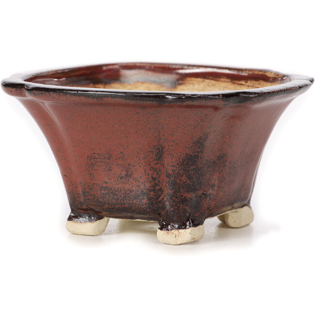 Square brown bonsai pot by Seto - 90 x 90 x 50 mm