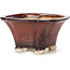Vaso bonsai quadrato marrone di Seto - 90 x 90 x 50 mm