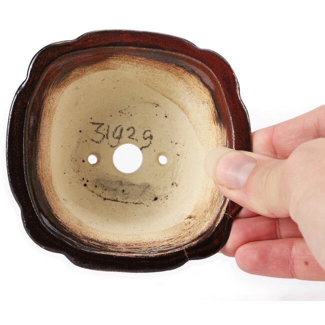 Vaso bonsai quadrato marrone di Seto - 90 x 90 x 50 mm