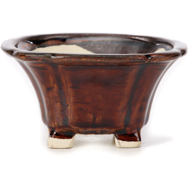 Pot à bonsaï carré marron par Seto - 90 x 90 x 50 mm