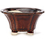Pot à bonsaï carré marron par Seto - 90 x 90 x 50 mm
