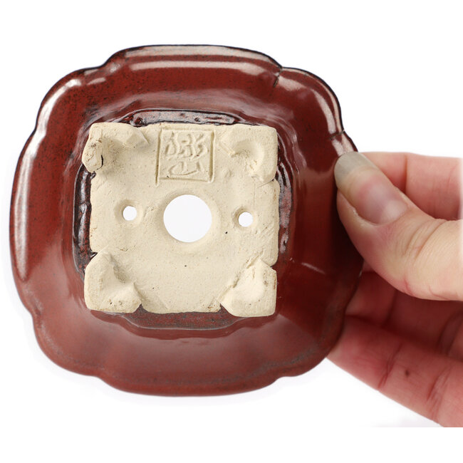 Square brown bonsai pot by Seto - 90 x 90 x 50 mm