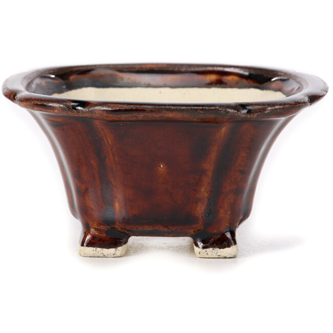 Pot à bonsaï carré marron par Seto - 90 x 90 x 50 mm