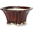 Pot à bonsaï carré marron par Seto - 90 x 90 x 50 mm