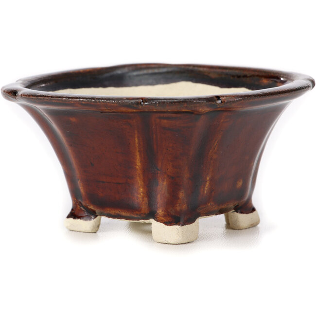 Vaso bonsai quadrato marrone di Seto - 90 x 90 x 50 mm