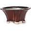 Pot à bonsaï carré marron par Seto - 90 x 90 x 50 mm