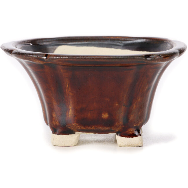 Maceta de bonsái cuadrada marrón de Seto - 90 x 90 x 50 mm