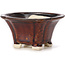 Pot à bonsaï carré marron par Seto - 90 x 90 x 50 mm