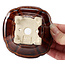 Pot à bonsaï carré marron par Seto - 90 x 90 x 50 mm