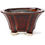 Pot à bonsaï carré marron par Seto - 90 x 90 x 50 mm