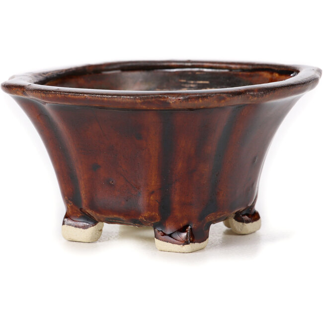 Maceta de bonsái cuadrada marrón de Seto - 90 x 90 x 50 mm