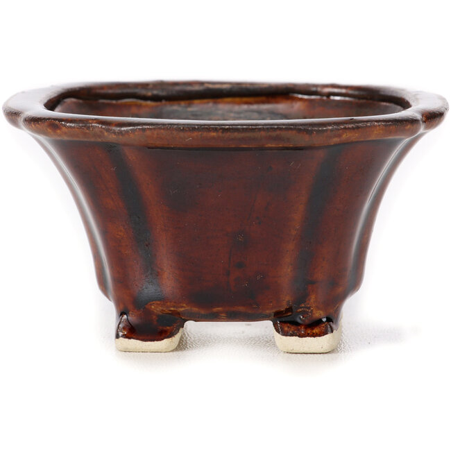 Maceta de bonsái cuadrada marrón de Seto - 90 x 90 x 50 mm