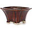 Pot à bonsaï carré marron par Seto - 90 x 90 x 50 mm