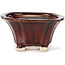 Square brown bonsai pot by Seto - 90 x 90 x 50 mm