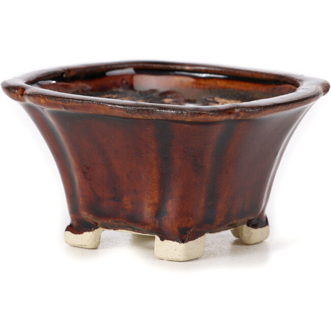 Vaso bonsai quadrato marrone di Seto - 90 x 90 x 50 mm