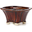Pot à bonsaï carré marron par Seto - 90 x 90 x 50 mm