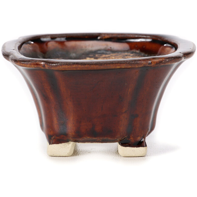 Square brown bonsai pot by Seto - 90 x 90 x 50 mm