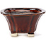 Pot à bonsaï carré marron par Seto - 90 x 90 x 50 mm