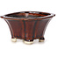 Pot à bonsaï carré marron par Seto - 90 x 90 x 50 mm