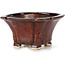Square brown bonsai pot by Seto - 90 x 90 x 50 mm