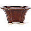 Square brown bonsai pot by Seto - 90 x 90 x 50 mm