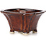 Square brown bonsai pot by Seto - 90 x 90 x 50 mm
