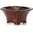 Square brown bonsai pot by Seto - 90 x 90 x 50 mm